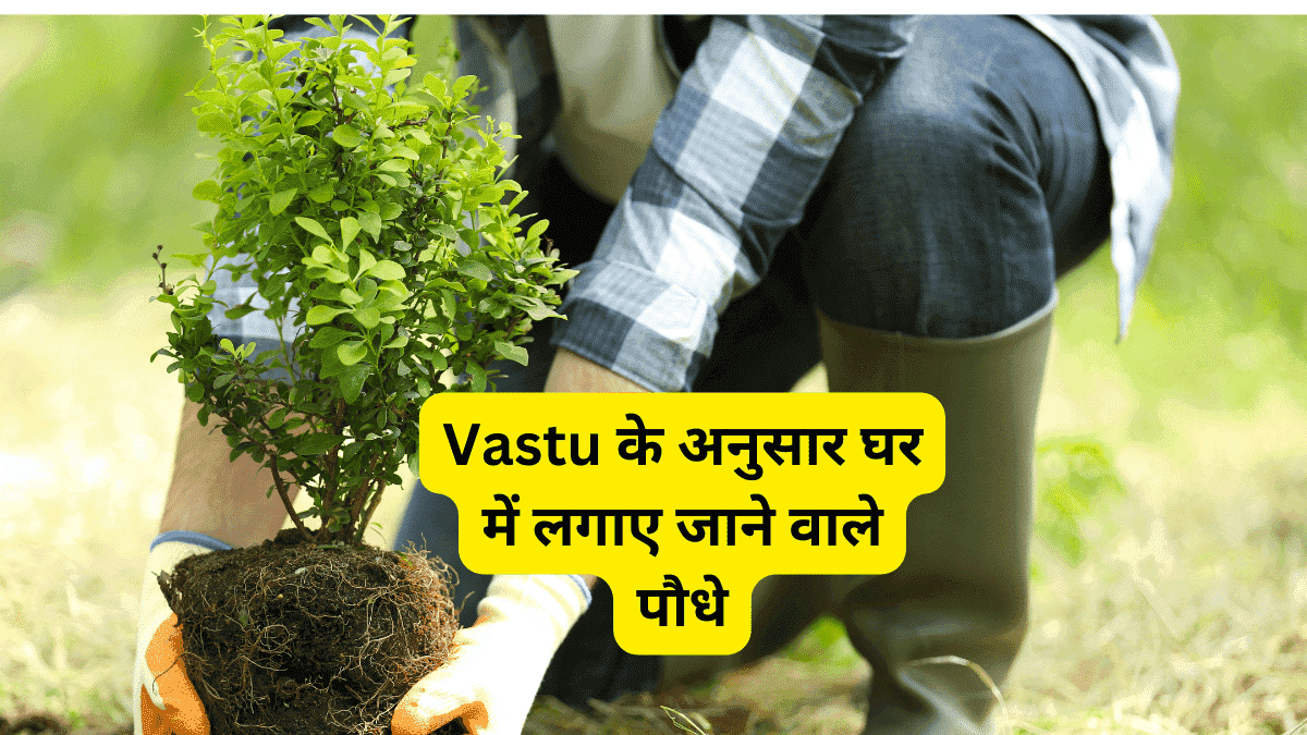 Vastu