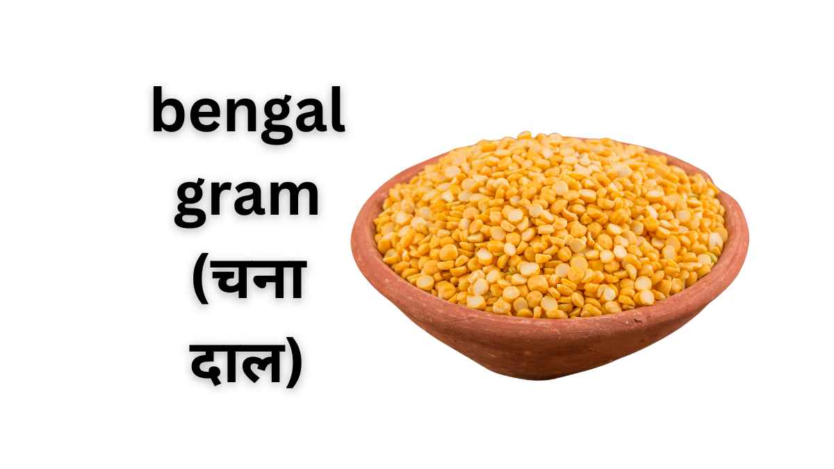 bengal gram