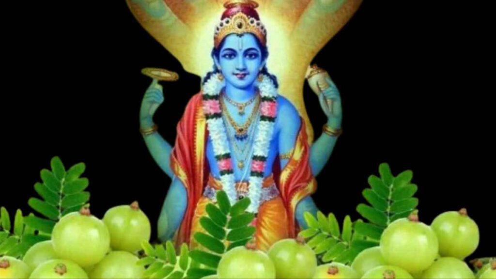 Amalaki Ekadashi 2024,Amalaki Ekadashiekadashi in march 2024, ekadashi march 2024, ekadashi kab hai, purnima march 2024, एकादशी कब है, ekadashi kab ki hai, 19 march 2024, आज का पंचांग शुभ मुहूर्त, ekadashi 2024, 20 march 2024 panchang, 20 march 2024, 19 march 2024, panchang ekadasi 2024, march rangbhari ekadashi 2024, amalaki ekadashi 2024, 20 march pushya nakshatra 2024, gyaras march 2024, amalaki ekadashi amla ekadashi 2024, ekadashi march 2024 date and time, amalaki ekadashi vrat katha 21 march 2024, panchang एकादशी कब की है, आमलकी एकादशी 2024,