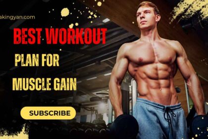 Best Workout Plan For Muscle Gain